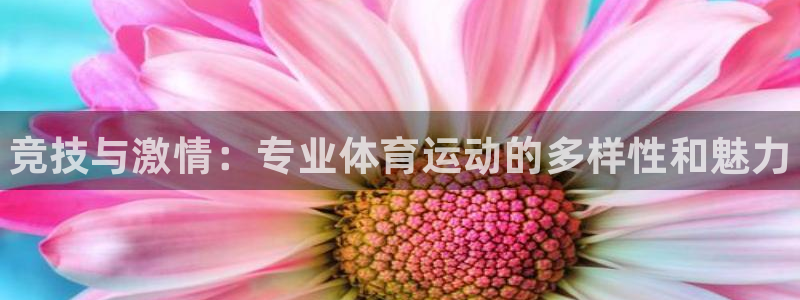 yy易游官网下载招商电话号码是多少