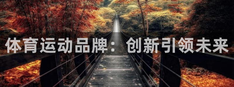 yy易游官网下载软件：体育运动品牌：创新引领未来