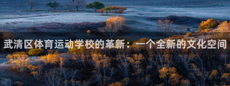 yy易游官方正版app集团logo：武清区体育运动学校的革新