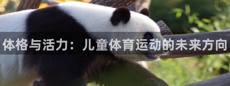 yy易游官网下载招商：体格与活力：儿童体育运动的未来