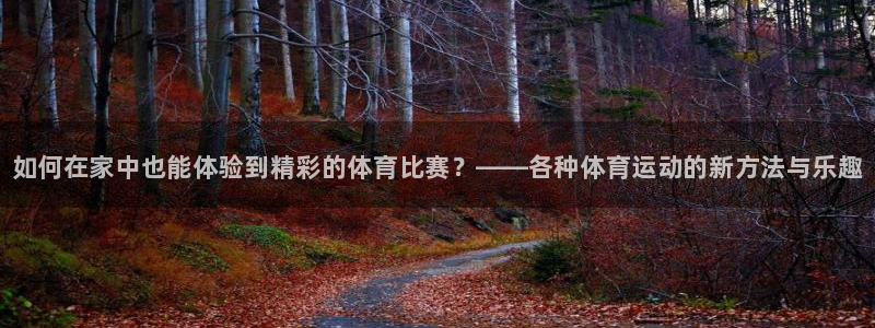 yy易游官网下载招商电话地址是多少：如何在家中也能体验到精彩