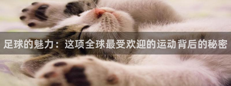 yy易游官方正版app娱乐首页网站大全：足球的魅力：这项全球