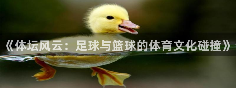 yy易游官方正版app娱乐首页网站大全