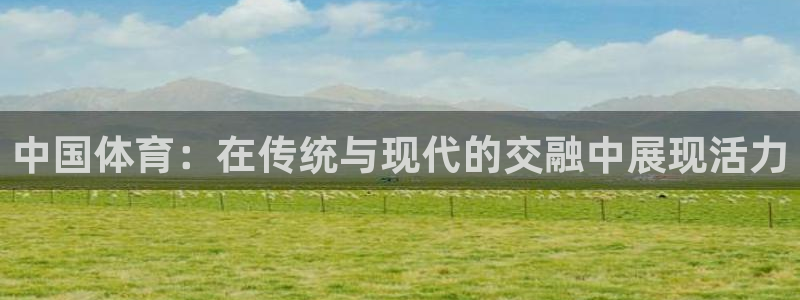 yy易游官网下载招商电话是多少啊：中国体育：在传统与