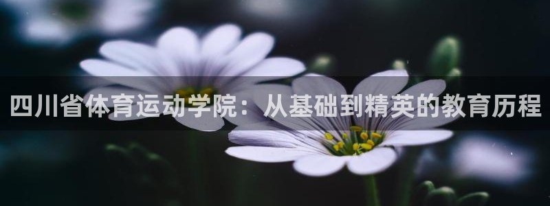 yy易游官方正版app集团logo：四川省体育运动学