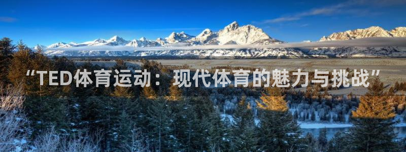 yy易游官方正版app集团简介：“TED体育运动：现