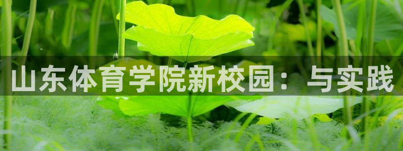 yy易游官方正版app娱乐是那个系列的台子：山东体育学院新校