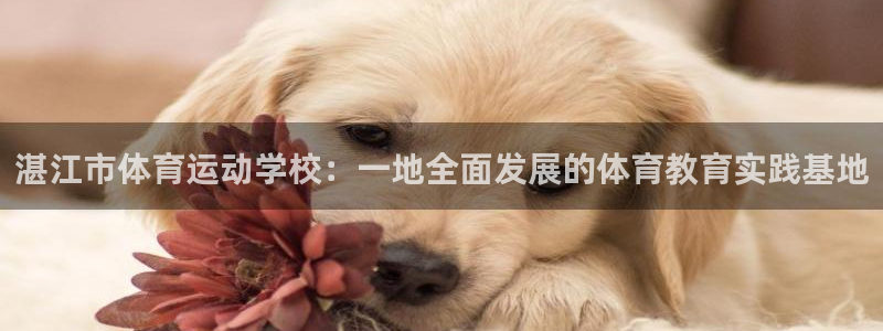 yy易游官网下载招商：湛江市体育运动学校：一地全面发展的体育