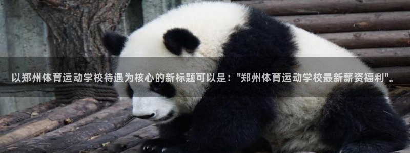 yy易游官网下载是干嘛的公司：以郑州体育运动学校待遇