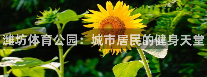 yy易游官网下载招商