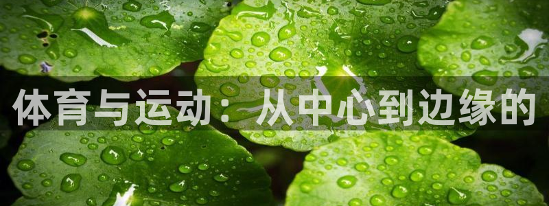 yy易游官网下载招商电话地址：体育与运动：从中心到边缘的