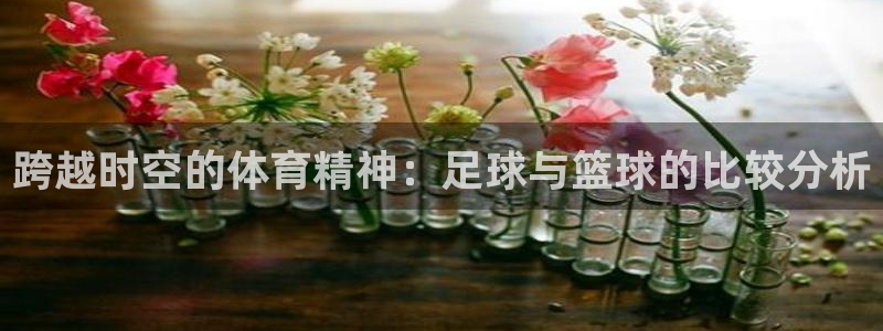 海南yy易游官网下载发展怎么样