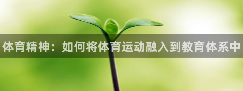 yy易游官方集团官网