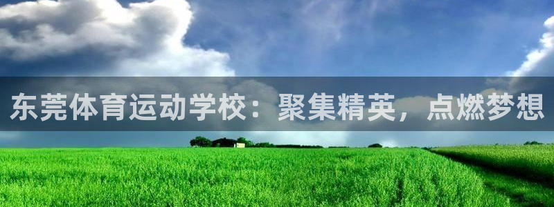 yy易游官方集团官网：东莞体育运动学校：聚集精英，点燃梦想