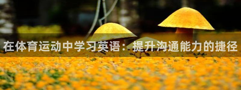 yy易游官方正版app娱乐首页官网下载：在体育运动中学习英语