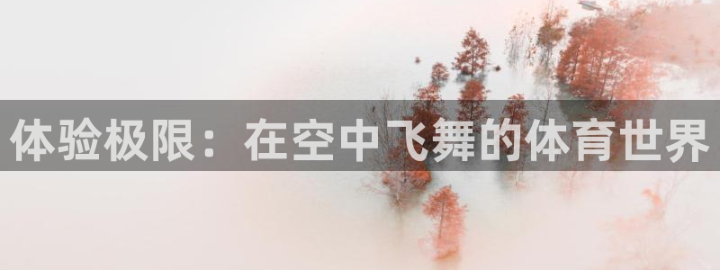 yy易游官方集团官网：体验极限：在空中飞舞的体育世界