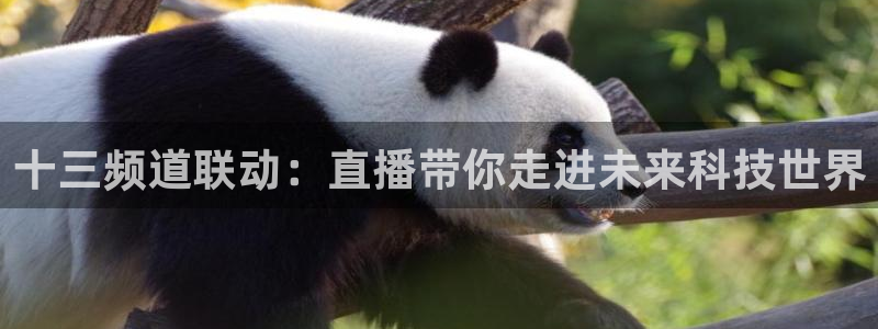 857体育赛事直播