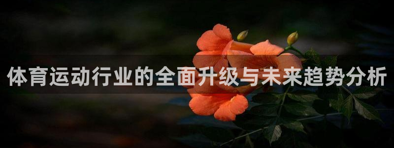  yy易游体育是正规的吗安全吗可靠吗：体育运动行业的全面升级与
