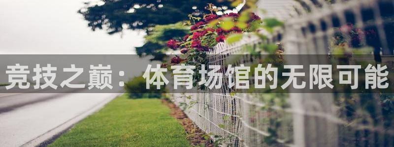  yy易游体育怎么样知乎：竞技之巅：体育场馆的无限可能