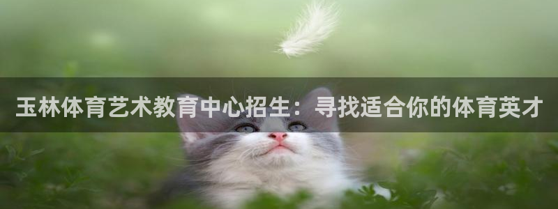 yy易游体育米乐：玉林体育艺术教育中心招生：寻找适合你的体育