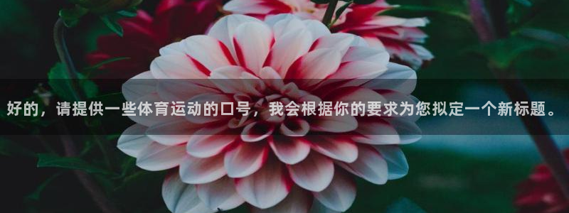 yy易游体育是正规的吗安全吗可靠吗：