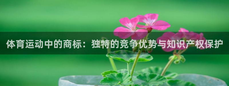 yy易游体育是正规的吗安全吗：体育运动中的商标：独特的竞争优