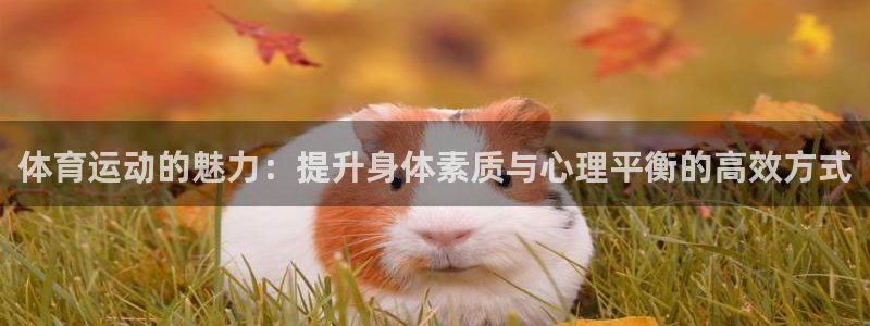  yy易游体育app最新版本更新内容是什么：体育运动的魅力：提