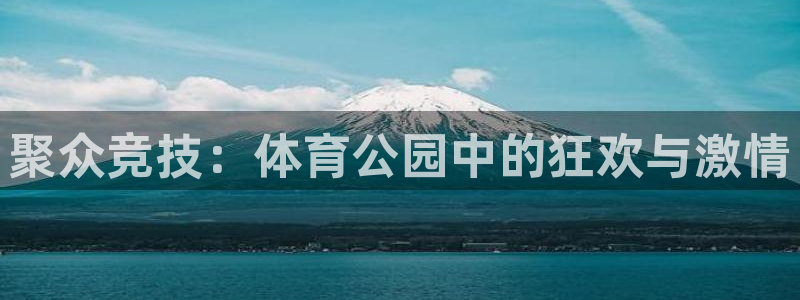 yy易游体育平台能提现吗安全吗：聚众竞技：体育公园中的狂欢与