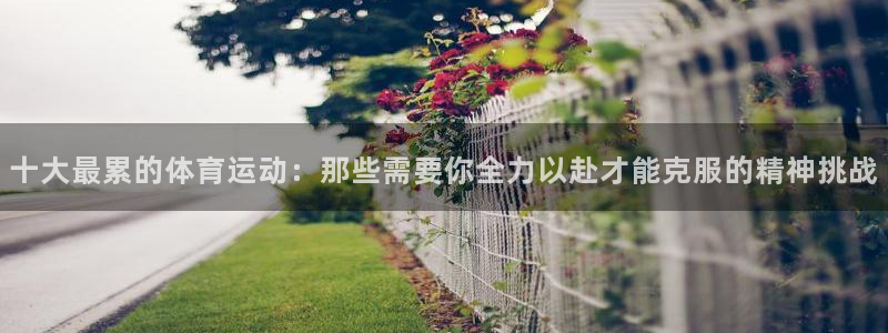 yy易游体育贴吧最新消息：十大最累的体育运动：那些需要你全力