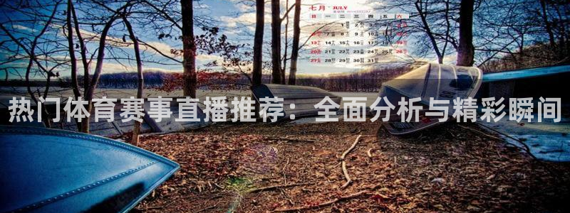 857直播体育nba下载：热门体育赛事直播推荐：全面分析与精彩瞬间