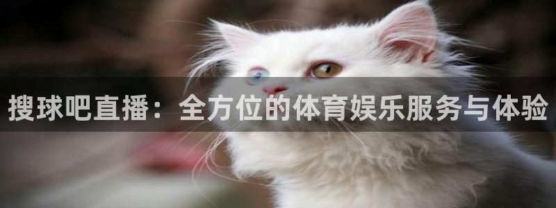 857zb1体育赛事直播：搜球吧直播：全方位的体育娱乐服务与体验